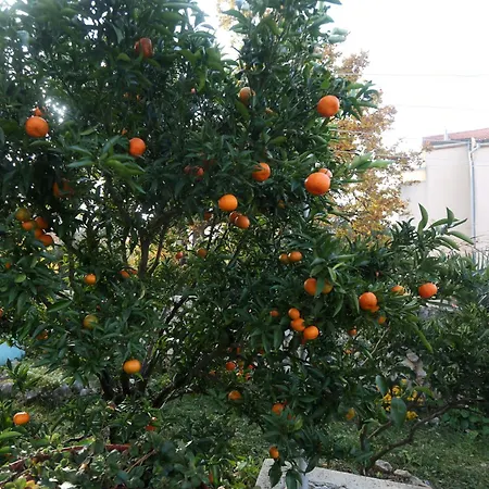 Appartement A&m Zablaće